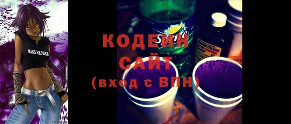 трава Няндома