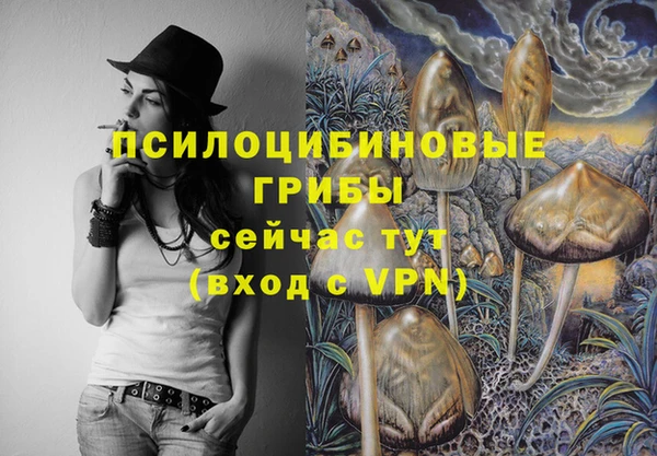 ГАЛЛЮЦИНОГЕННЫЕ ГРИБЫ Алексеевка