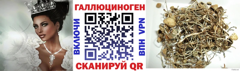 Галлюциногенные грибы MAGIC MUSHROOMS Ессентукская