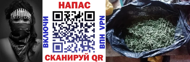 Каннабис OG Kush Ессентукская